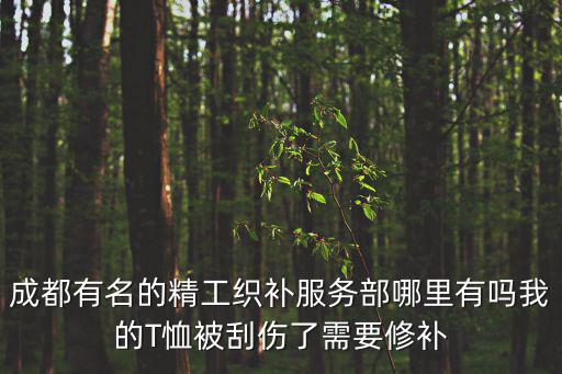 成都有名的精工織補(bǔ)服務(wù)部哪里有嗎我的T恤被刮傷了需要修補(bǔ)