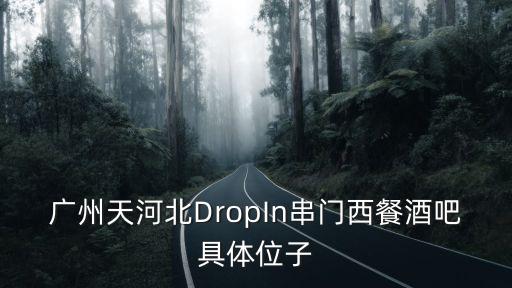 廣州天河北DropIn串門西餐酒吧具體位子