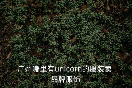 廣州哪里有unicorn的服裝賣 品牌服飾