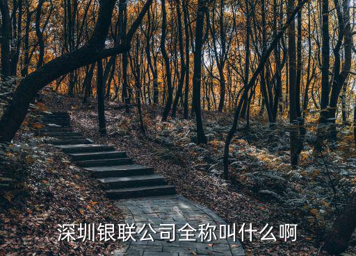 深圳銀聯(lián)公司全稱叫什么啊