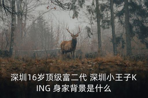 深圳16歲頂級富二代 深圳小王子KING 身家背景是什么