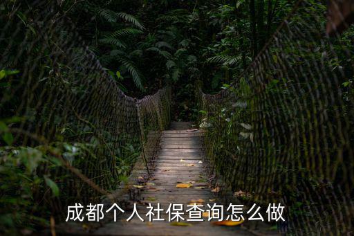成都個人社保查詢怎么做
