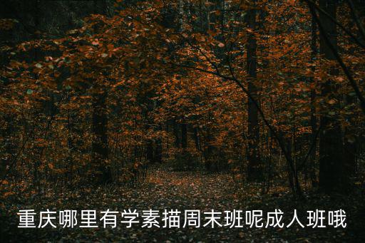 重慶哪里有學(xué)素描周末班呢成人班哦