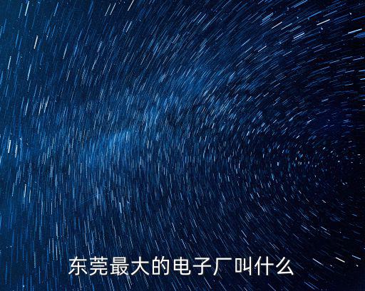 東莞最大的電子廠叫什么