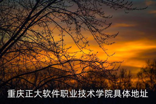 重慶正大軟件職業技術學院具體地址