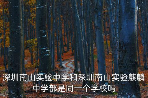深圳南山實驗房，深圳南山實驗中學和深圳南山實驗麒麟中學部是同一個學校嗎
