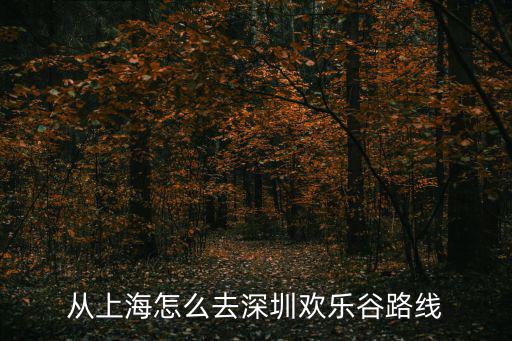 從上海怎么去深圳歡樂谷路線