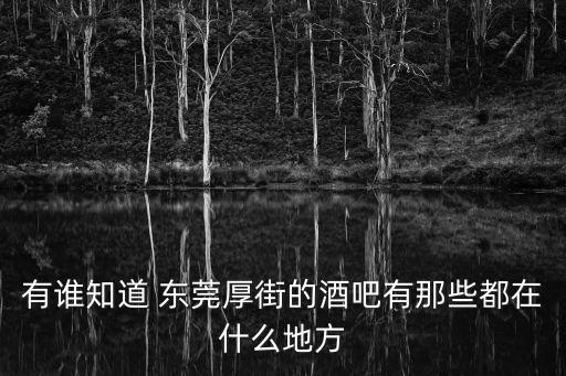 有誰知道 東莞厚街的酒吧有那些都在什么地方