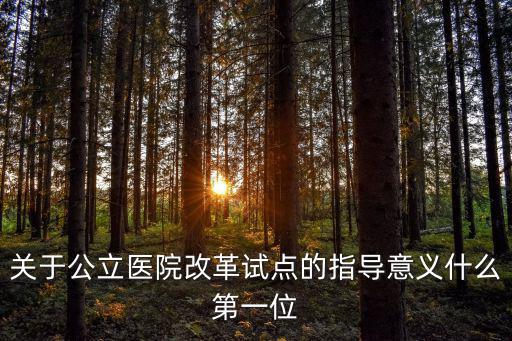 關于公立醫院改革試點的指導意義什么第一位