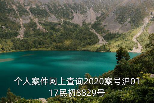 個人案件網上查詢2020案號滬0117民初8829號