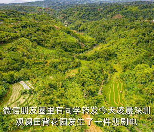 微信朋友圈里有同學(xué)轉(zhuǎn)發(fā)今天凌晨深圳觀瀾田背花園發(fā)生了一件悲劇電