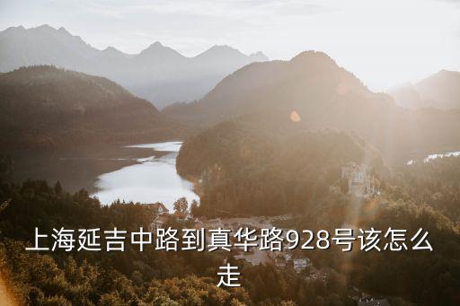 上海延吉中路到真華路928號該怎么走