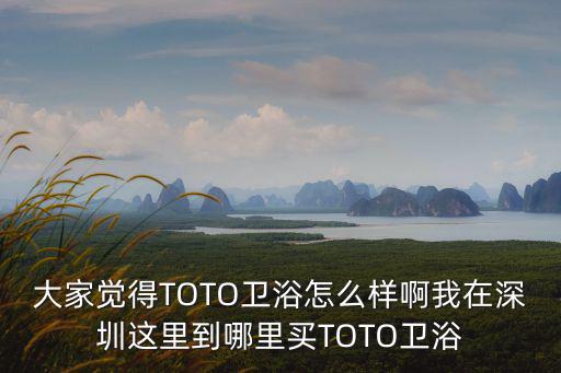 大家覺得TOTO衛浴怎么樣啊我在深圳這里到哪里買TOTO衛浴
