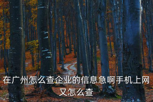 在廣州怎么查企業的信息急啊手機上網又怎么查