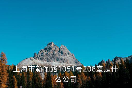 上海市新閘路1051號208室是什么公司