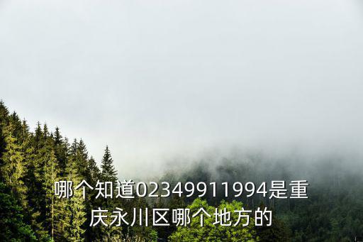 重慶市永川區征地中心，重慶永川大安飛機場好久開始征地