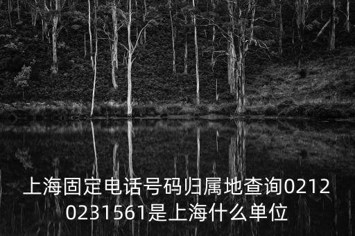 上海固定電話號碼歸屬地查詢02120231561是上海什么單位