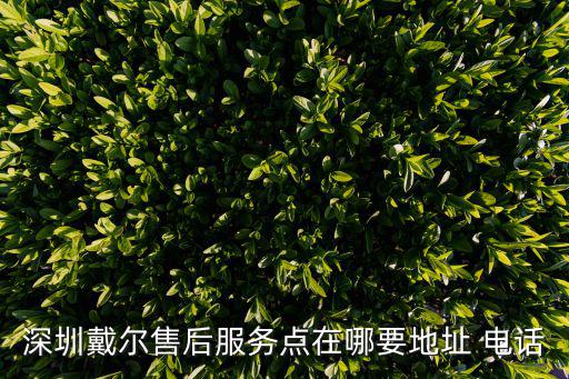 深圳戴爾售后服務點在哪要地址 電話