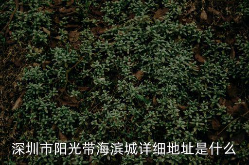 深圳市陽光帶海濱城詳細地址是什么