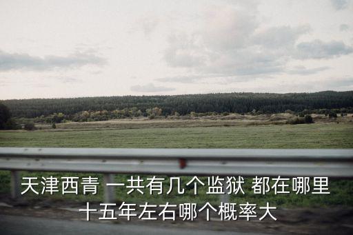 天津西青 一共有幾個監獄 都在哪里 十五年左右哪個概率大
