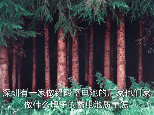 深圳星凱越電池怎么樣，星凱越充電寶怎樣樣