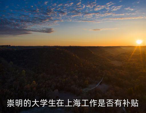 崇明的大學生在上海工作是否有補貼