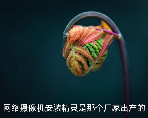 網絡攝像機安裝精靈是那個廠家出產的