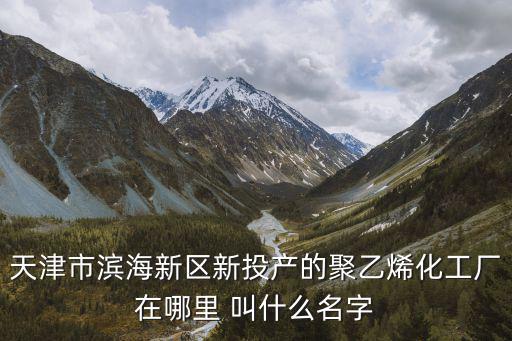 天津市濱海新區(qū)新投產(chǎn)的聚乙烯化工廠(chǎng)在哪里 叫什么名字