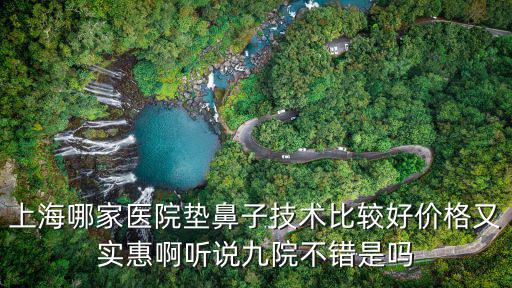 上海哪家醫(yī)院墊鼻子技術(shù)比較好價格又實惠啊聽說九院不錯是嗎
