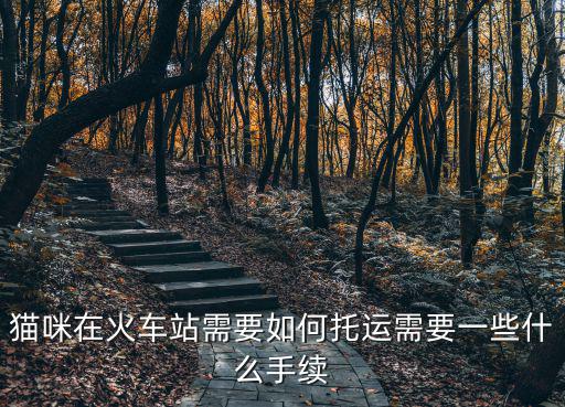 貓咪在火車站需要如何托運需要一些什么手續