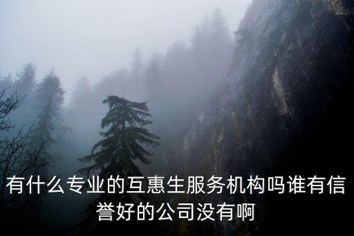 有什么專業(yè)的互惠生服務機構(gòu)嗎誰有信譽好的公司沒有啊