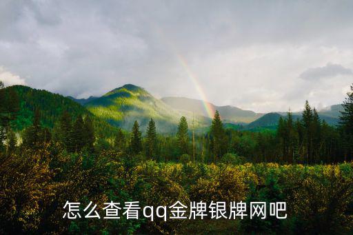 怎么查看qq金牌銀牌網吧