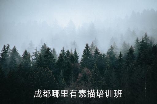 成都市眉眼唇素描培訓，成都哪里有素描培訓班