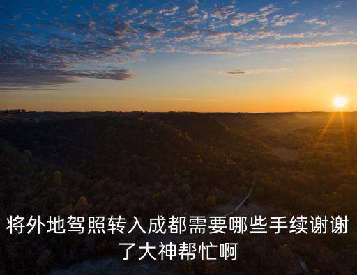 將外地駕照轉入成都需要哪些手續謝謝了大神幫忙啊