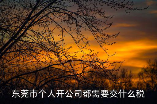 東莞市個人開公司都需要交什么稅