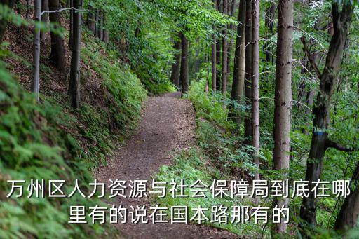 重慶市萬州區(qū)國本路檔案室，重慶市萬州區(qū)人力資源局在哪兒去弄檔案的事情