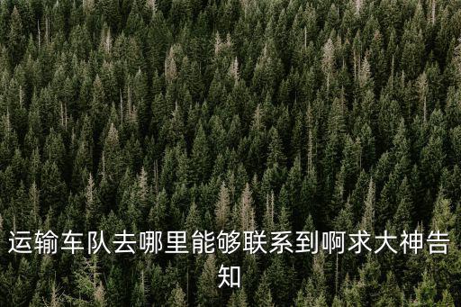 運輸車隊去哪里能夠聯系到啊求大神告知