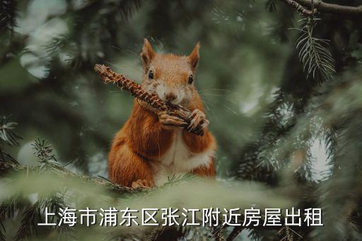 上海市張江鎮租房信息，張江畢升路附近租房子