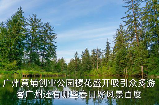 廣州黃埔創(chuàng)業(yè)公園櫻花盛開吸引眾多游客廣州還有哪些春日好風景百度