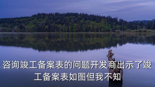 咨詢竣工備案表的問題開發商出示了竣工備案表如圖但我不知
