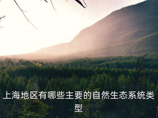上海地區有哪些主要的自然生態系統類型