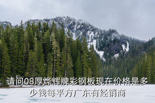 請問08厚燁輝牌彩鋼板現在價格是多少錢每平方廣東有經銷商