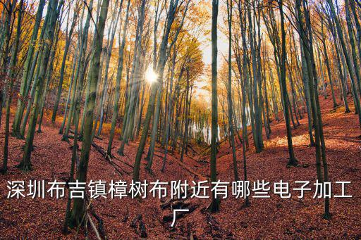 深圳布吉鎮(zhèn)樟樹布附近有哪些電子加工廠
