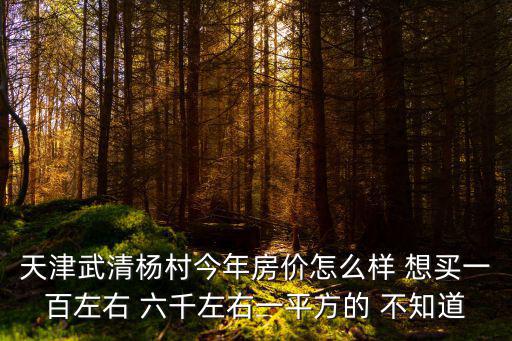 天津武清楊村今年房價怎么樣 想買一百左右 六千左右一平方的 不知道