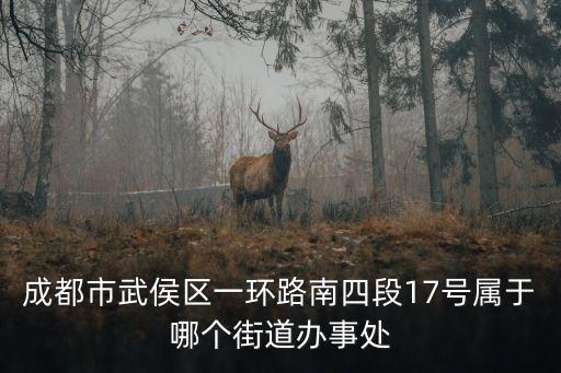 成都市武侯區(qū)一環(huán)路南四段17號(hào)屬于哪個(gè)街道辦事處