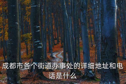 成都市各個街道辦事處的詳細地址和電話是什么