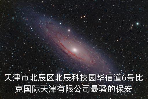 天津市北辰區(qū)北辰科技園華信道6號(hào)比克國(guó)際天津有限公司最騷的保安