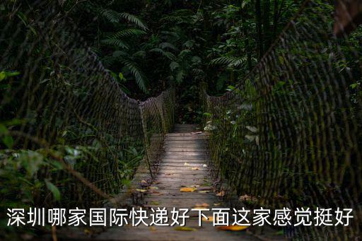 深圳哪家國際快遞好下面這家感覺挺好