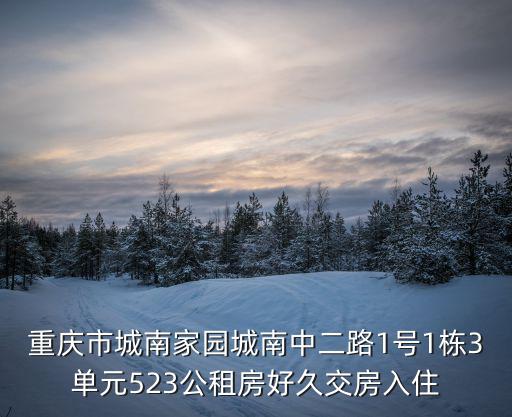 重慶市城南家園城南中二路1號1棟3單元523公租房好久交房入住