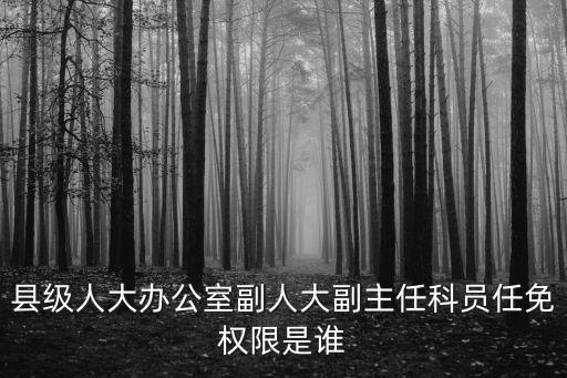 縣級(jí)人大辦公室副人大副主任科員任免權(quán)限是誰